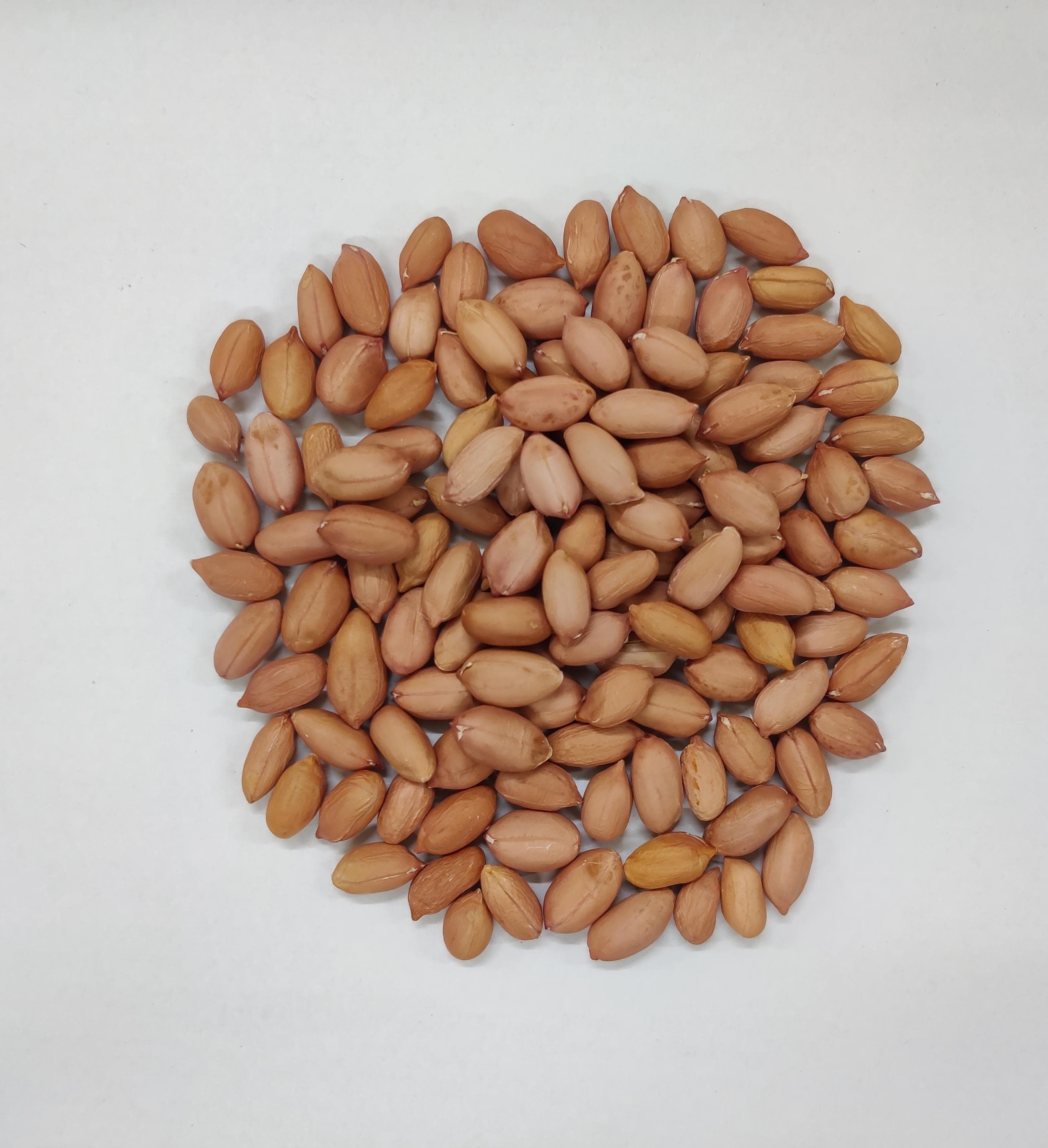 High Oleic Peanuts